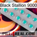 Black Stallion 9000 28